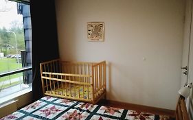 Apartment In Druskininkai Lithuania